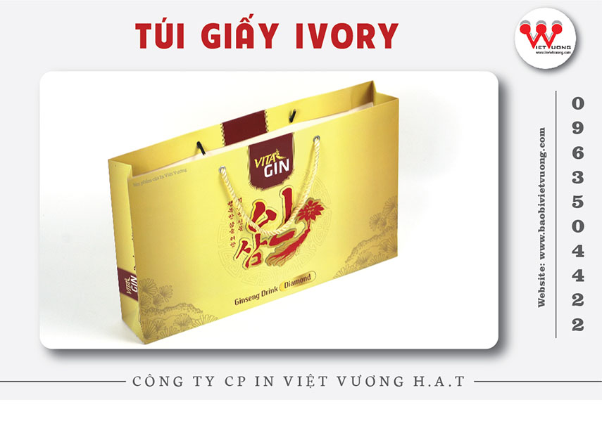 MẪU TÚI  GIẤY MỚI 2024